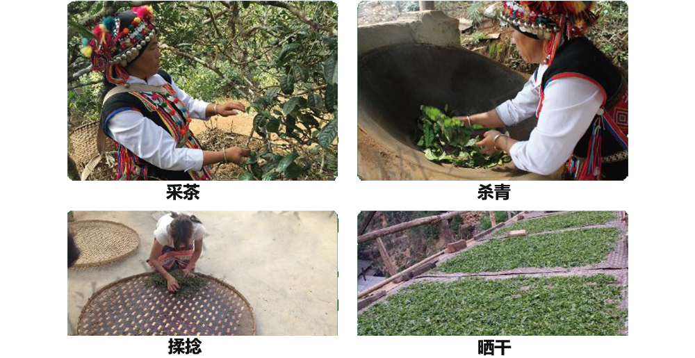 普洱茶生产流程